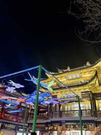 Yuyuan Garden After Dark: A Shanghai Fairytale Come to Life ✨🌟