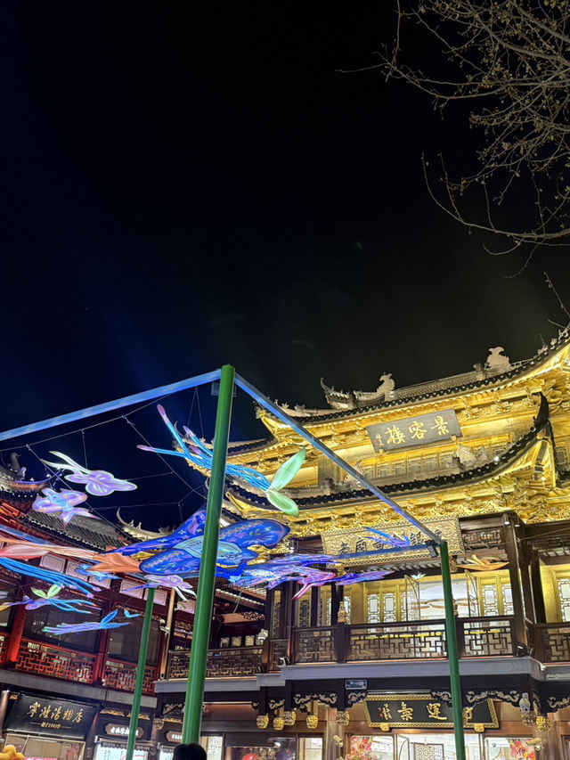 Yuyuan Garden After Dark: A Shanghai Fairytale Come to Life ✨🌟