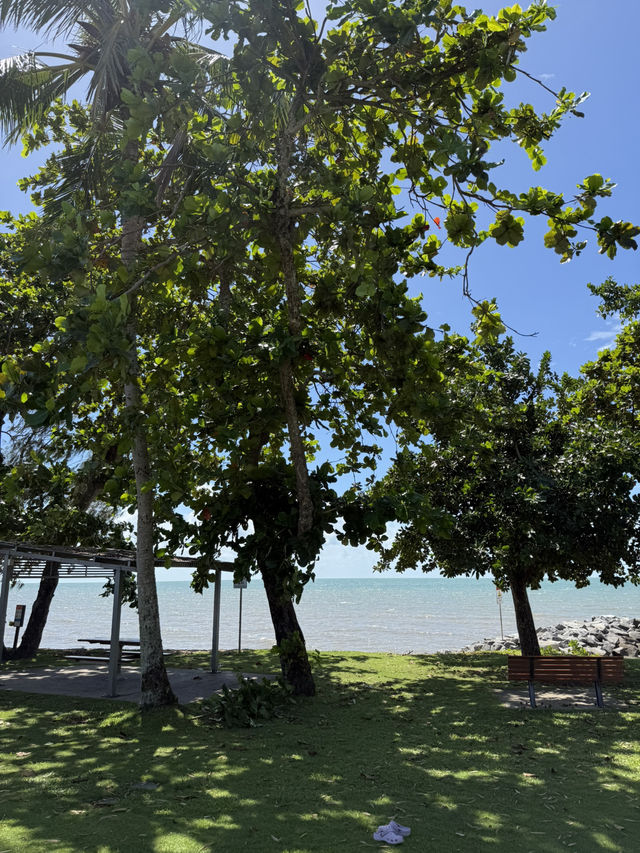 ケアンズ🇦🇺 景色が最高の海沿いカフェ🥑☀️