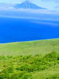 夏の礼文島で花と海と緑の絶景トレッキング