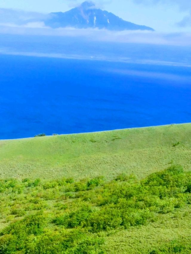 夏の礼文島で花と海と緑の絶景トレッキング 夏の礼文島で花と海と緑の絶景トレッキング