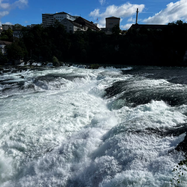 Magical Mid-Morning at Rhine Falls 🇨🇭Switzerland🛥️ 