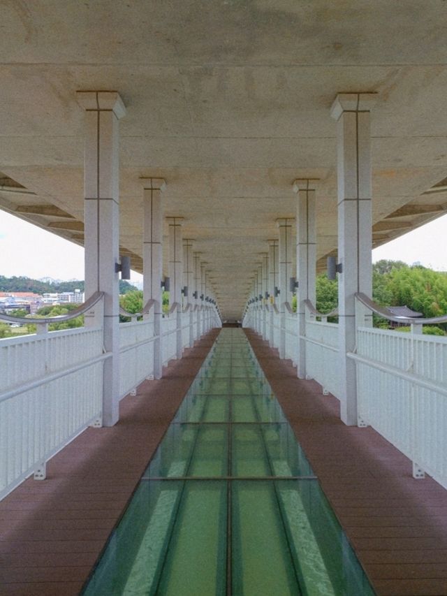 자연과 여유가 흐르는 태화강 🌊🌿