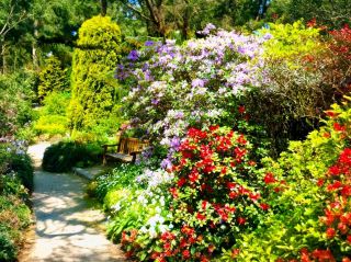 Discover Manchester's Green Space - A Haven for Plants and People