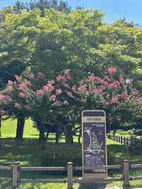 여름 경주 꼭 가야할 핫스팟 🌺🩷