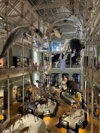 absolutely fantastic! The building itself is stunning, and inside there is so much to explore.