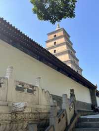 🌆 Big Wild Goose Pagoda — More Than Just a Pagoda