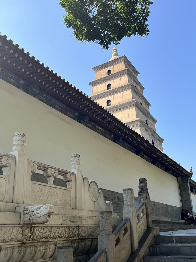 🌆 Big Wild Goose Pagoda — More Than Just a Pagoda
