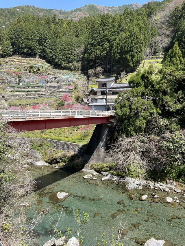 四国ドライブ旅🚗✨寄り道ですら絶景すぎた