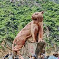 Breathtaking Testament to Nature's Power