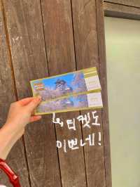 🏯 이누야마성에서 만난 일본 전통 감성 🌿