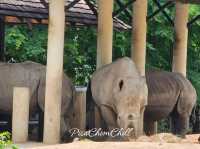 สวนสัตว์เปิดเขาเขียว
