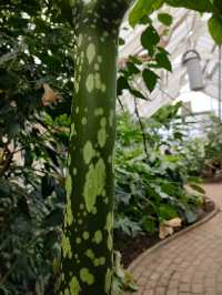 National Botanic Garden of Wales