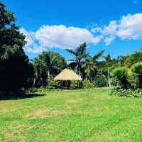 Auckland Botanic Gardens – A Living Treasure of Flora