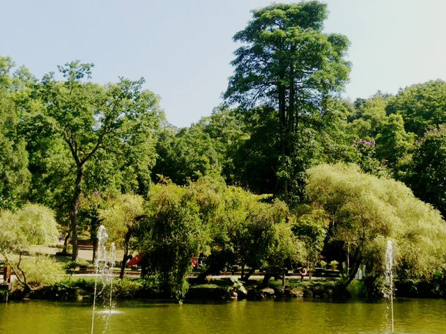 🌲 東勢林場 - 台中森林療癒系遊樂區