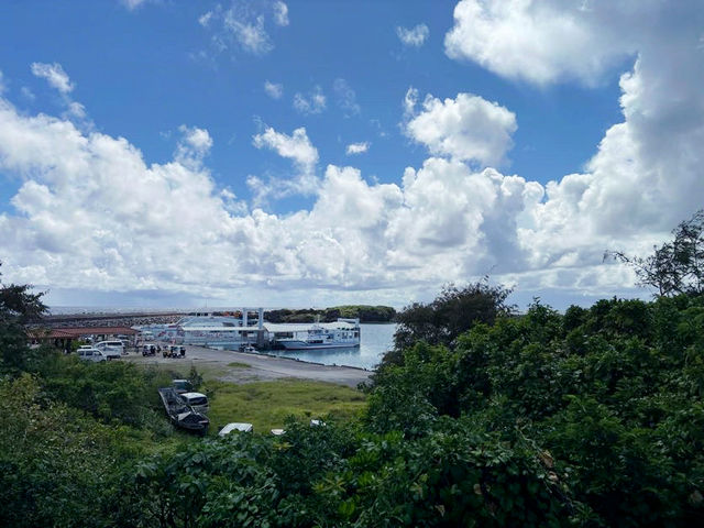 沖繩「神之島」：神聖與休閑的世外桃源