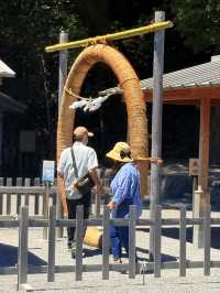 鐮倉｜不只櫻花季絕美 在荷花最美季節造訪鶴岡八幡宮