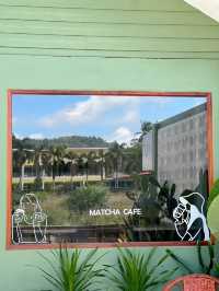 Matcha CAFE 🏡 ☕️ 🍵