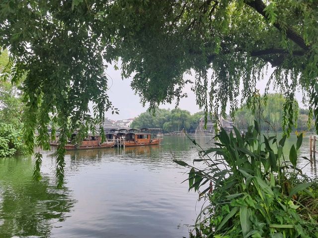 Wuzhen Wuzhen