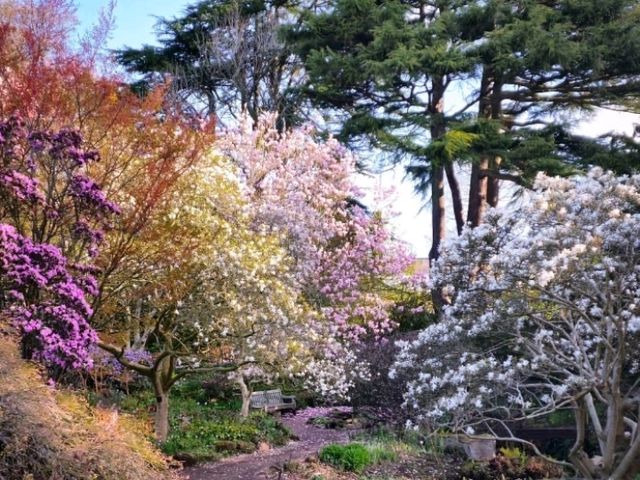 Lovely day out full of various plants and trees. Most of the outdoor plants are British origin with others being housed indoors.