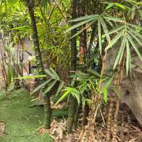 嶺南名園順德清暉園