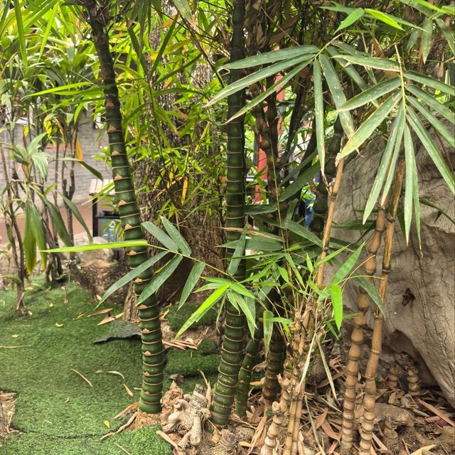 嶺南名園順德清暉園