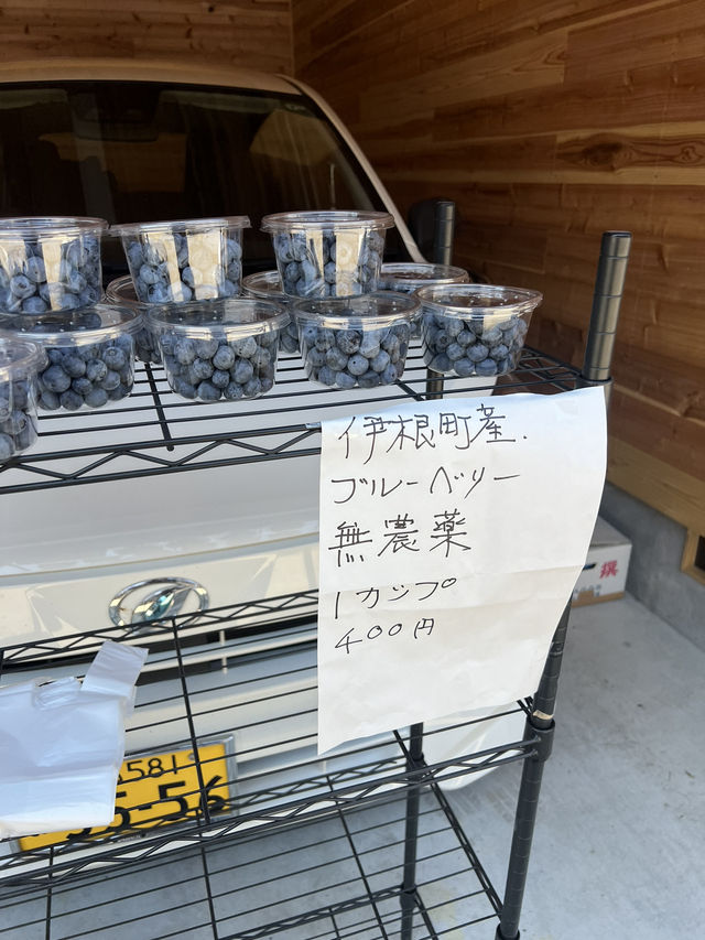 伊根町舟屋、日本三景天橋立 輕鬆一日遊