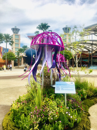 Singapore Oceanaruim
