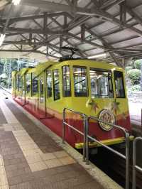 🚡高尾山一日遊：纜車體驗×登山散策×美食享受
