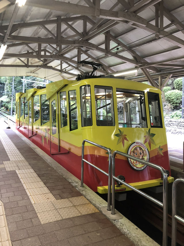 🚡高尾山一日遊：纜車體驗×登山散策×美食享受