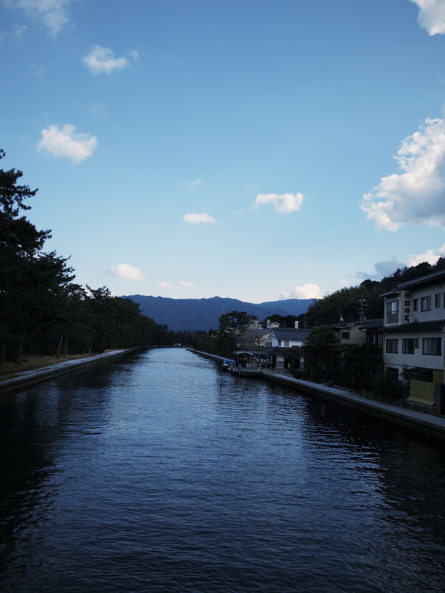 倒立觀美景，驚嘆人間仙境】天橋立必訪旅遊全攻略