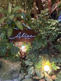 (Alive Thai Restaurant) in Hat Yai, Southern Thailand