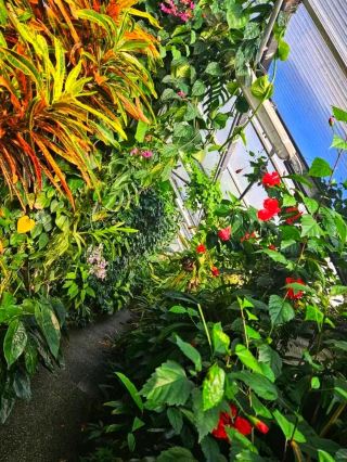 ヨーロッパで最も美しい植物園の一つ