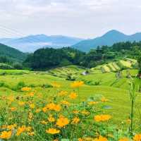壺神山麓に広がる “天空の隠れ里” の絶景棚田