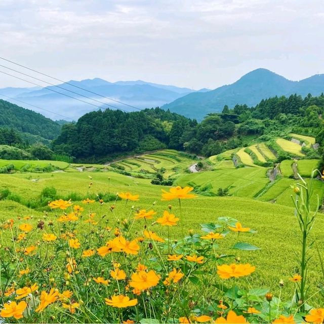 壺神山麓に広がる “天空の隠れ里” の絶景棚田