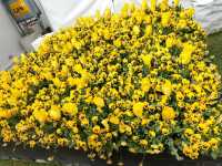 💐Floriade Day Part 1💐