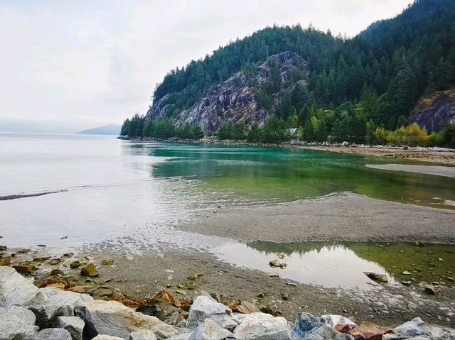溫哥華波特灣省立公園:海水湛藍🌊 溫哥華波特灣省立公園:海水湛藍🌊