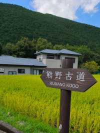 熊野古道中邊路徒步之旅