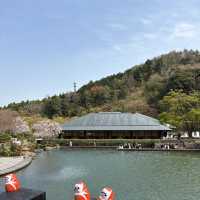 🎋✨ Katsuo-ji Temple – วัดดารุมะ (勝尾寺)