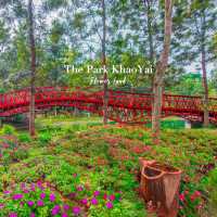   เปิดตัว สวนสาธารณะ The Park Khaoyai Flower Land 