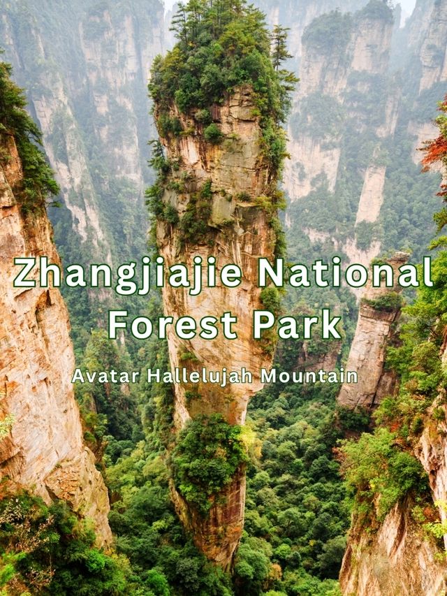 Zhangjiajie Zhangjiajie