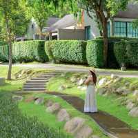 🌳🌱Flora Creek Chiang Mai ที่พักกลางขุนเขา