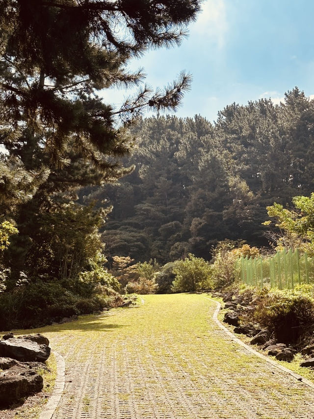 An Ideal Spot for Quiet Reflection