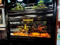 Chew Thean Yeang Aquatic & Pet – One-Stop Pet & Aquarium Store at Sunshine Central