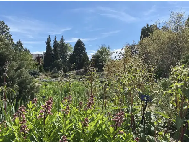 Denver Botanic Gardens
