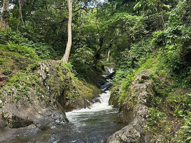 Waitavala Natural Rock Waterslide