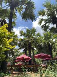 เข็คอิน The For Rest Cafe’ หนองคาย