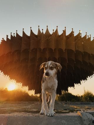 Gyumri's Metal Fountain: A Symbol That Endured