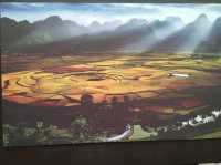 The Majestic Wanfenglin and the Mysterious Bagua Field