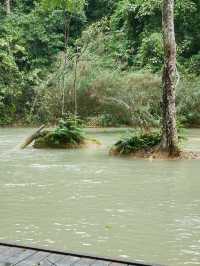 【ラオス🇱🇦】クアンシーの滝